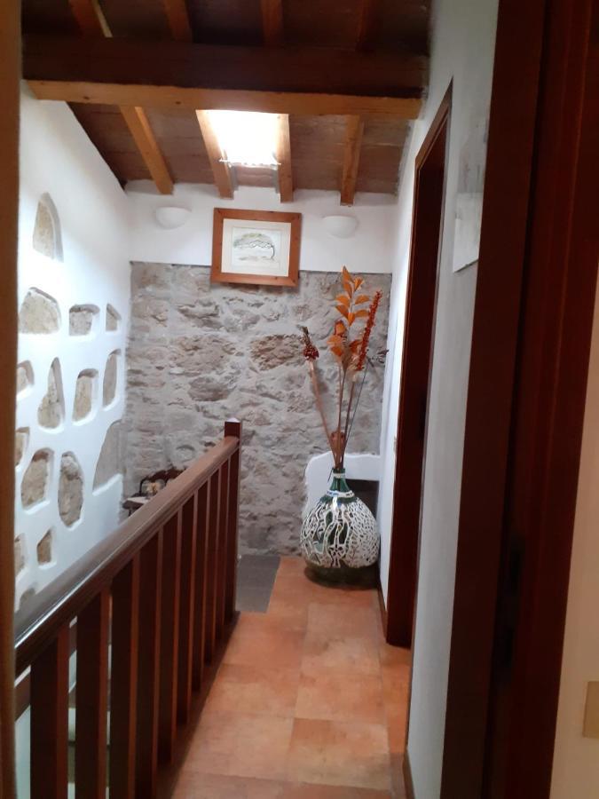 Casa Di Nonno Gio Villa Vecchiano Bagian luar foto